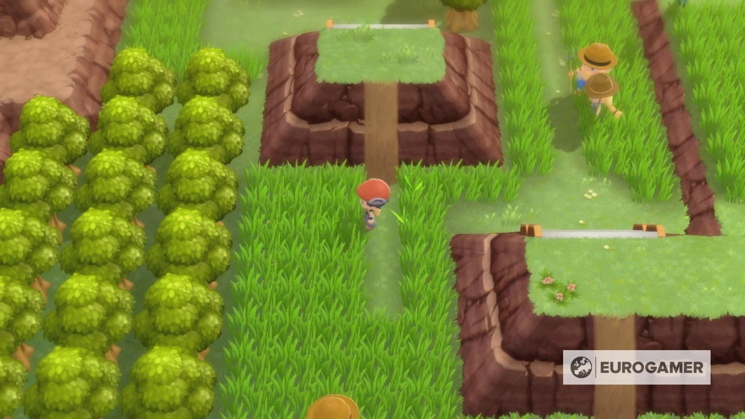 Route 210 Pokémon, trainers, items and how to clear the Psyduck in